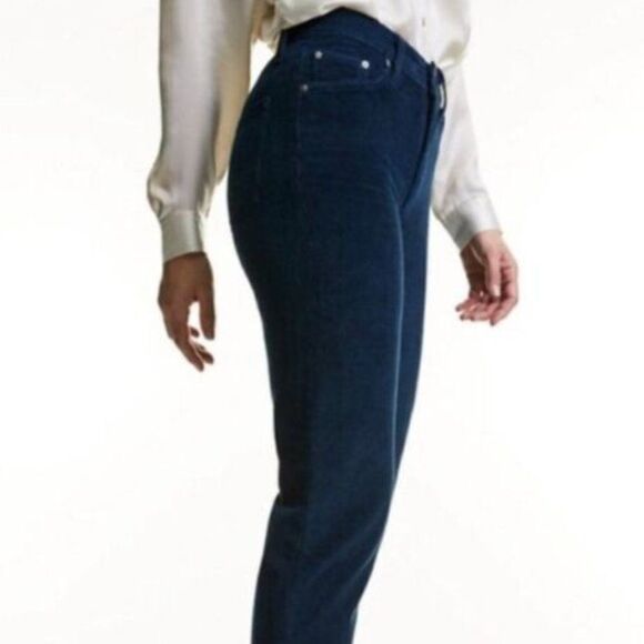 Aritzia Denim Forum The Arlo High Rise Straight Leg Blue Corduroy Pants - Picture 3 of 14